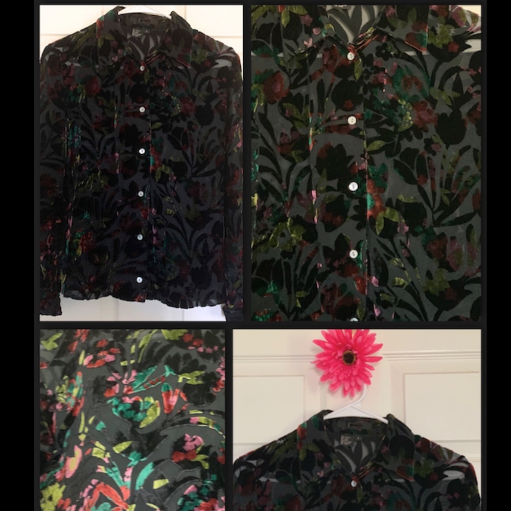Anna Sui Floral Velvet Flocked Sheer Blouse Silk 4